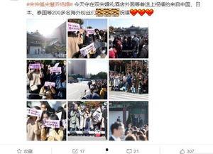 婚礼热点爆料视频大全,盘点年度最火婚礼瞬间